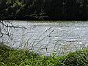 peche25.jpg